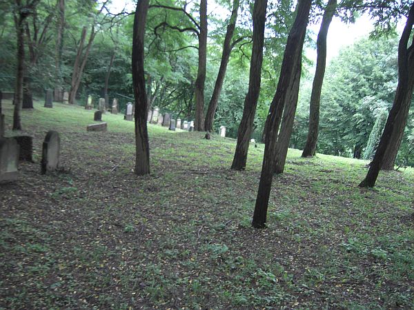 Der jüdische Friedhof in Sayn (Stadt Bendorf, Kreis MayenKoblenz)